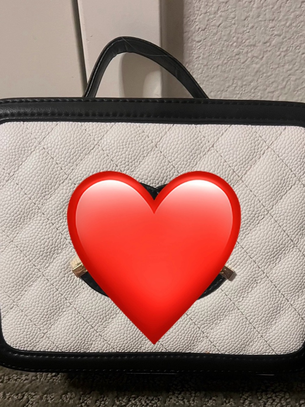 Black and white Panda  vanity case style bag